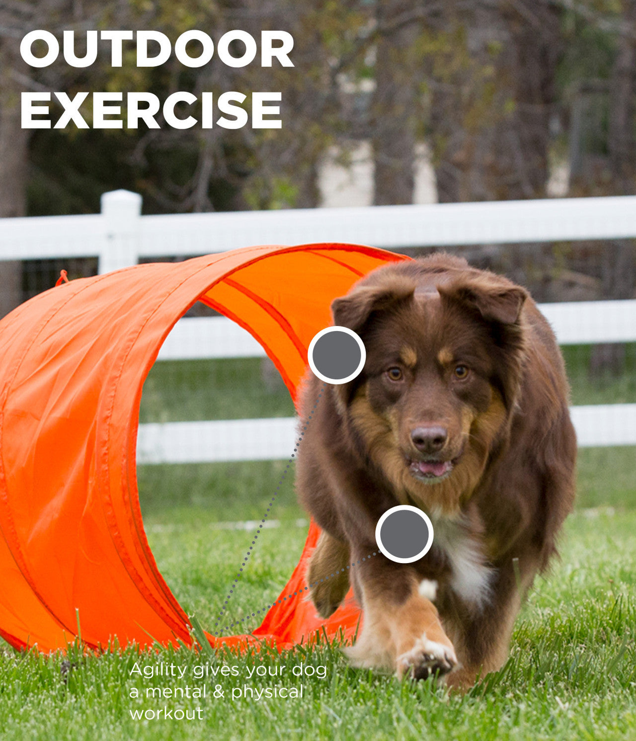 Outward Hound ZipZoom Outdoor Agility Kit
