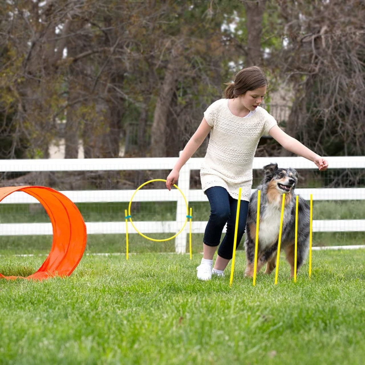 Outward Hound ZipZoom Outdoor Agility Kit