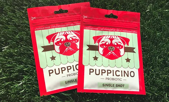 L'Bakery Puppicino Single Shot