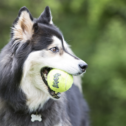 KONG Airdog Squeaker Balls (2pk) - Large