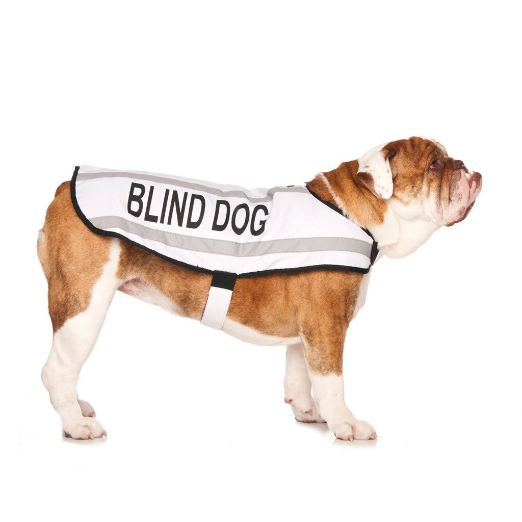 Blind - Dog Coat