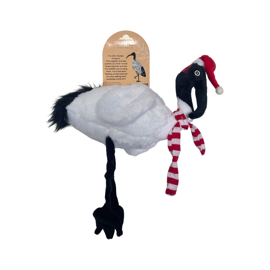 Mr Bin Chicken - Christmas edition