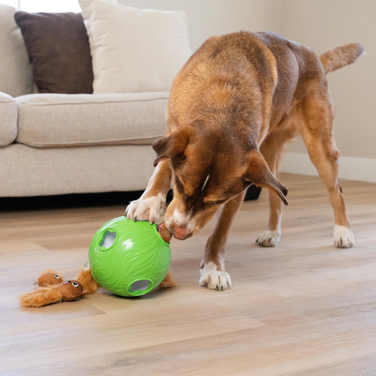 Outward Hound Dog Snuffle N' Treat Ball with 6 Plush Chipmunks