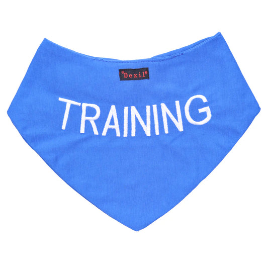 Training - Dog Bandana