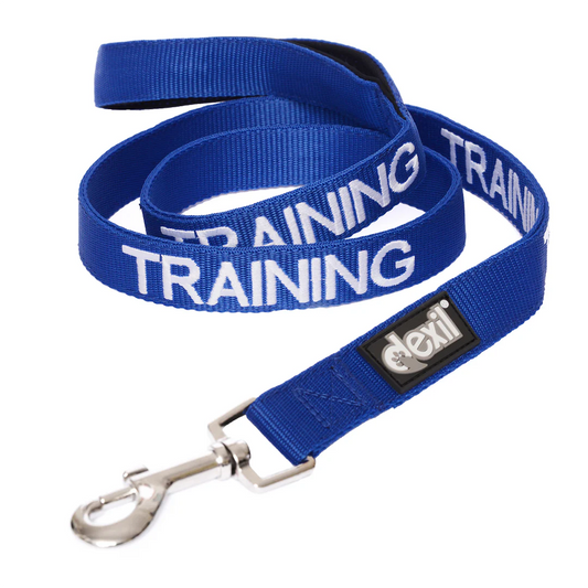 Training - Dog Standard 120cm (4ft) Lead