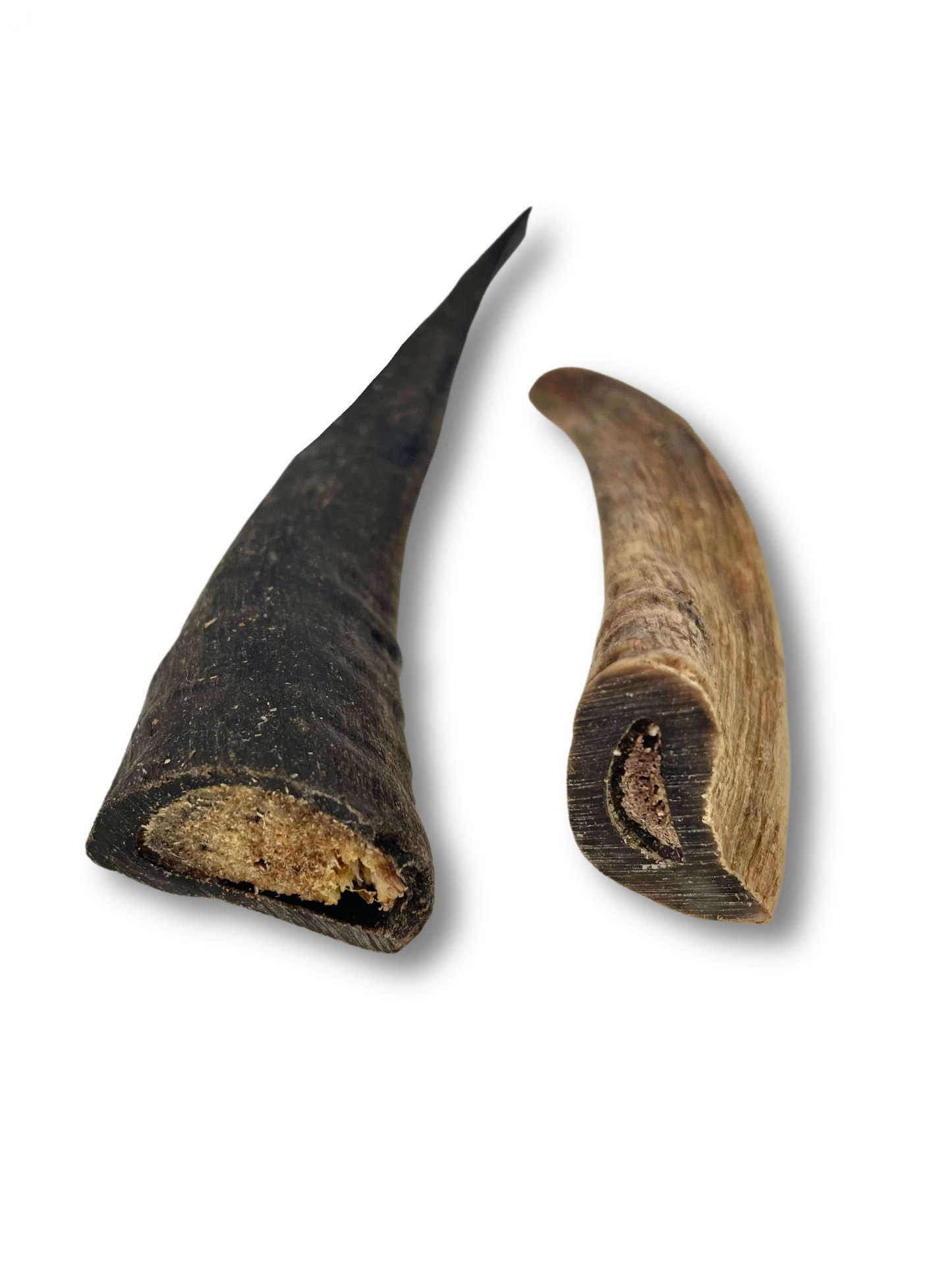 Goat Horn 2