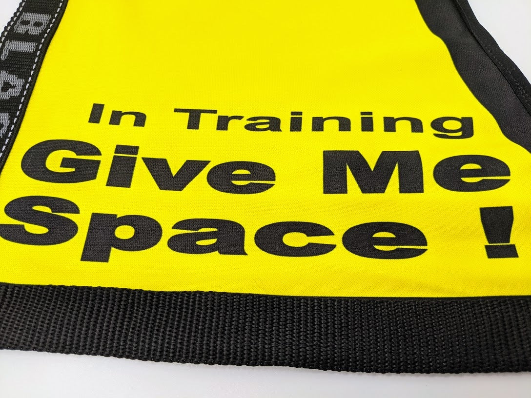 In Training 'Give Me Space!' Vest