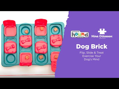 Outward Hound Nina Dog Brick Interactive Treat Puzzle Dog Toy