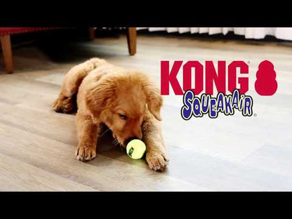 KONG Airdog Squeaker Balls (3pk) - Medium